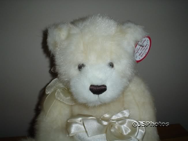 gund musical bear